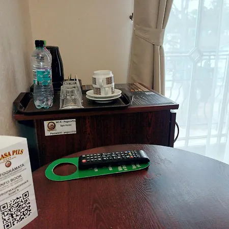 佩嘎萨必尔斯温泉酒店 4* Jūrkalne