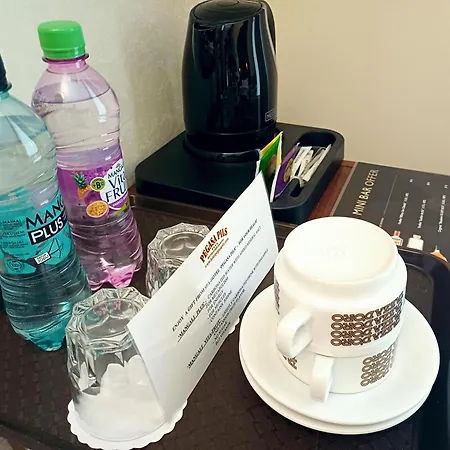 佩嘎萨必尔斯温泉酒店 4*